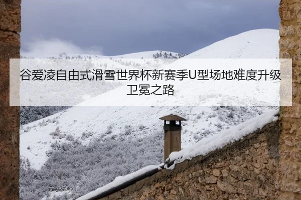 gu-ai-ling-zi-you-shi-hua-xue-shi-jie-bei-xin-sai-ji-xing-chang-di-nan-du-sheng-ji-wei-mian-zhi-lu-3-463.jpg