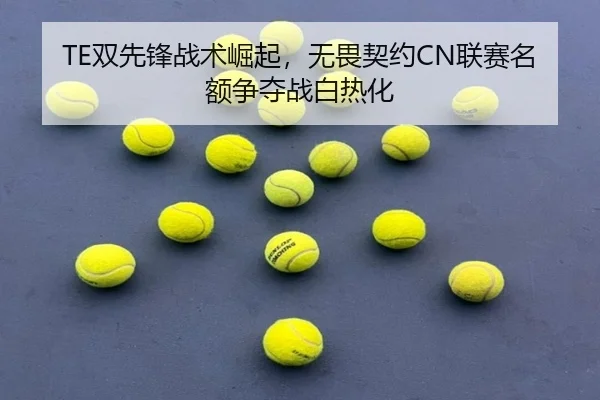 TE双先锋战术崛起，无畏契约CN联赛名额争夺战白热化